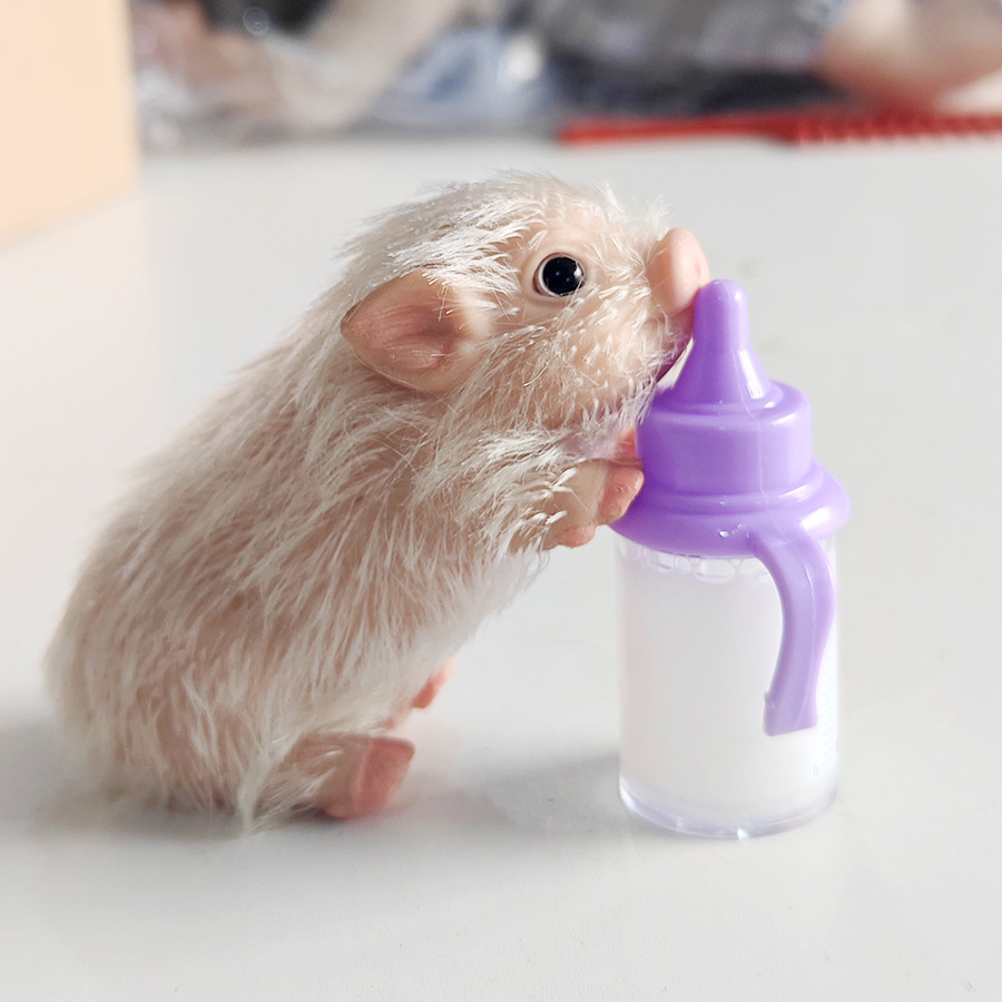 Cute Newborn Pet Reborn Piggy  - Baby Nursery Dolls recension och pris